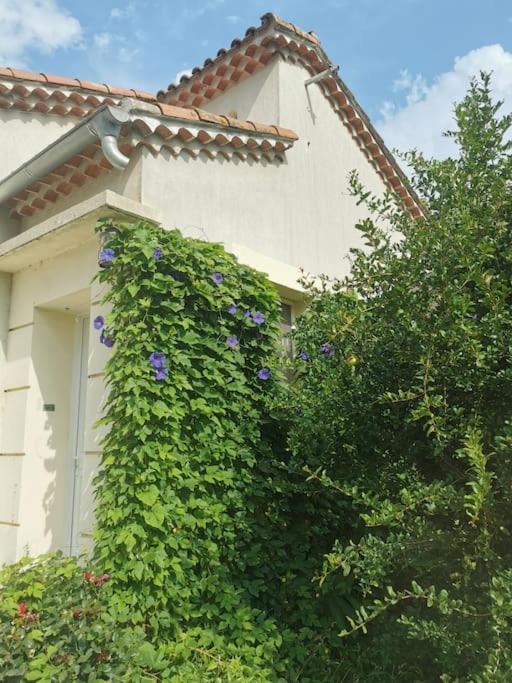 Maison Avec Piscine Dans Village Provencal. Courthézon المظهر الخارجي الصورة